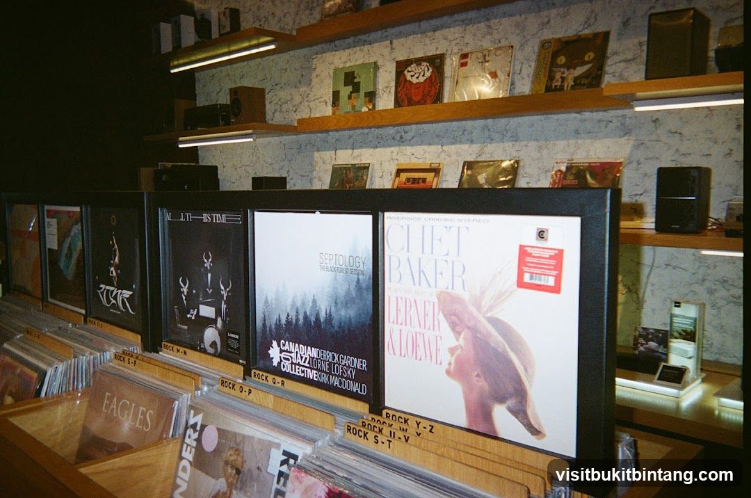 Record Store Display