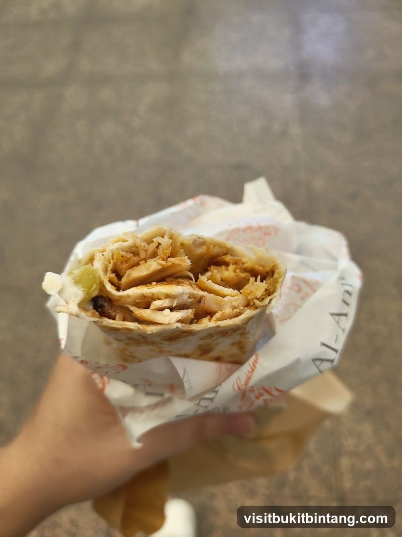 Shawarma Wrap