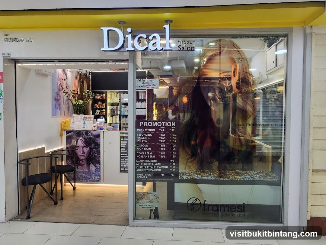 Dical Hair Beauty Salon