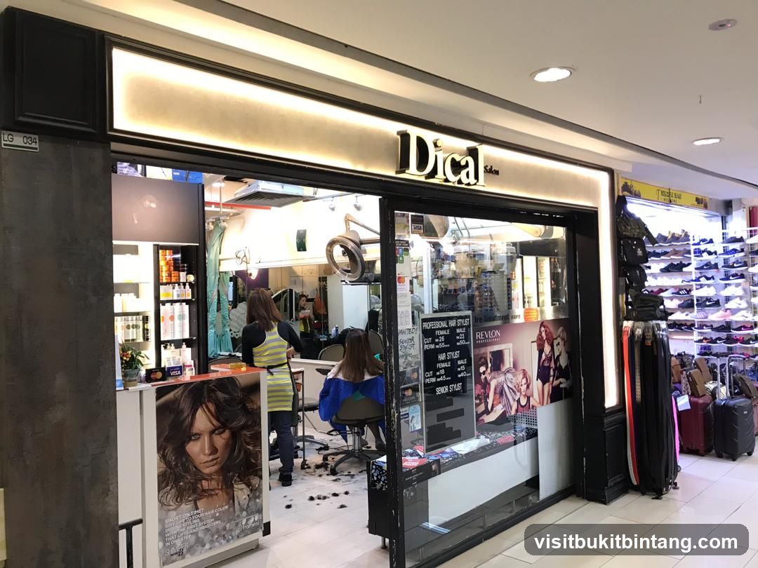 Dical Hair Beauty Salon