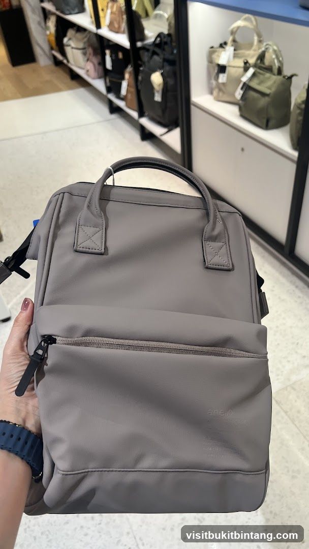 Gray Backpack