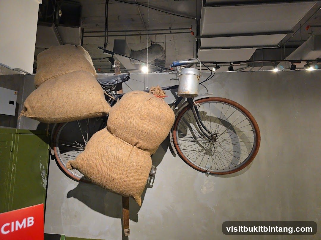 Bicycle with Sacks