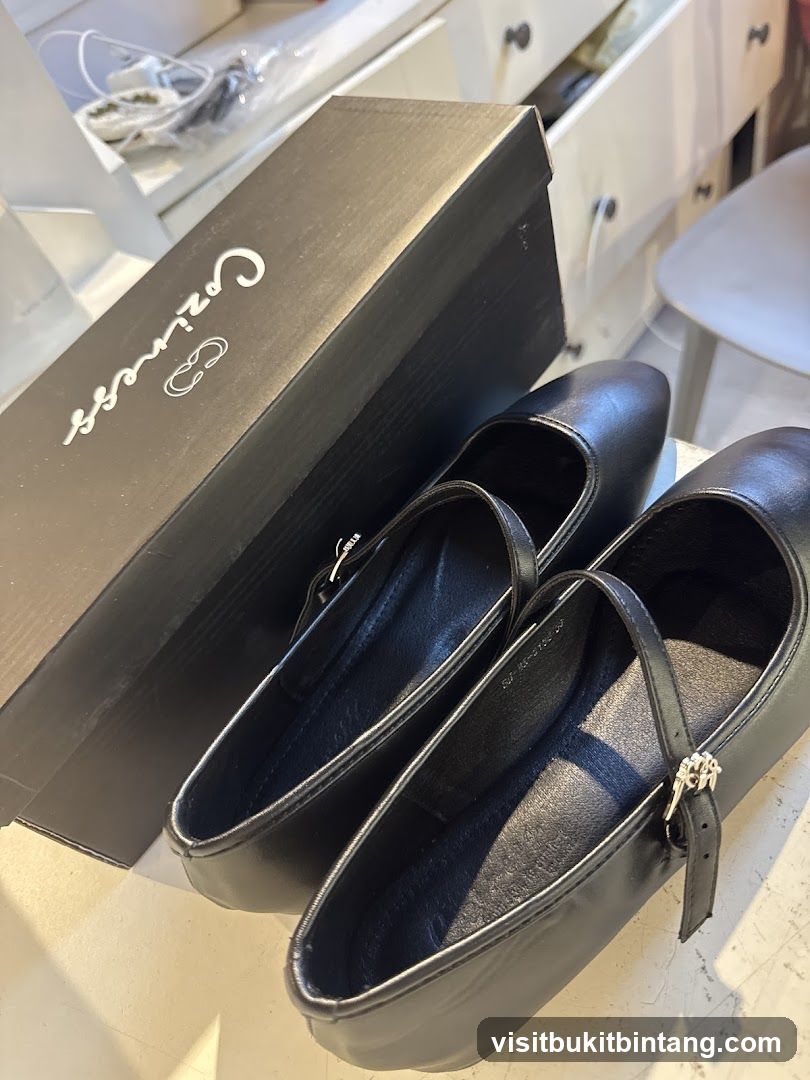 Black Ballet Flats