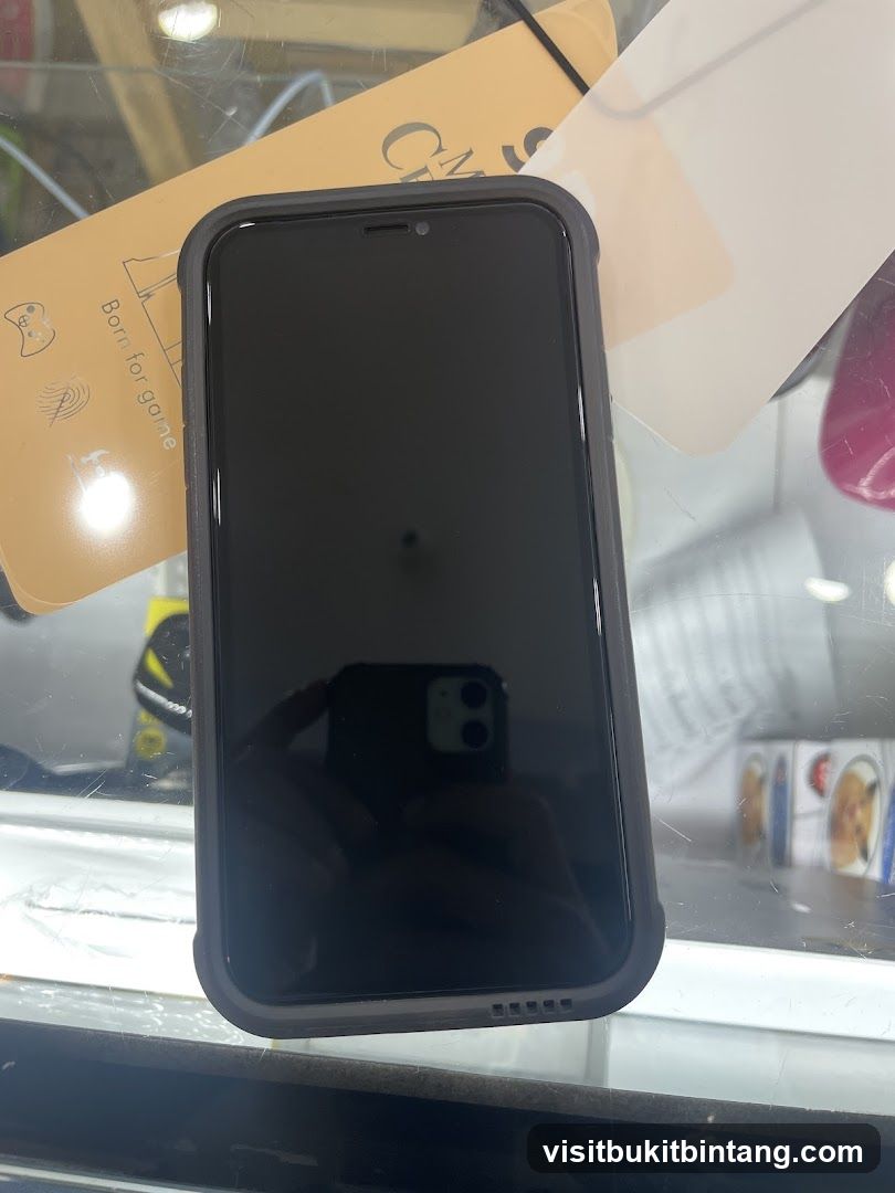 Phone and Screen Protector