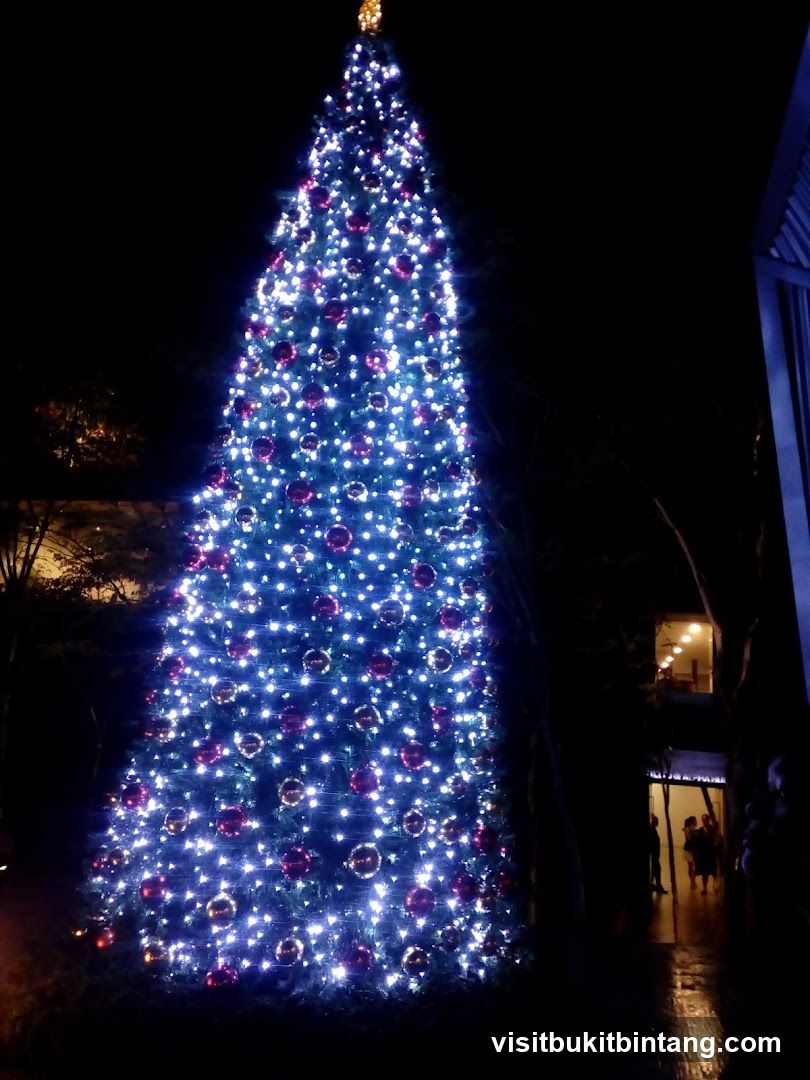 Decorated Christmas Tree at Night