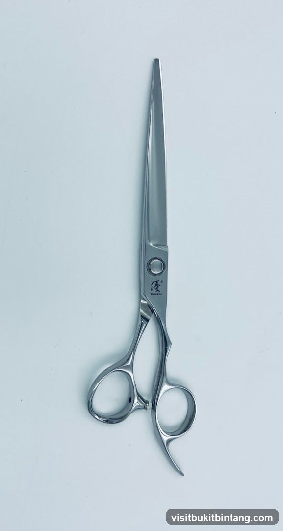Professional Hair Scissors