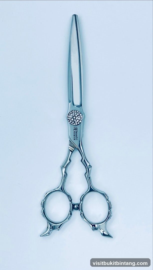 Professional Hair Scissors