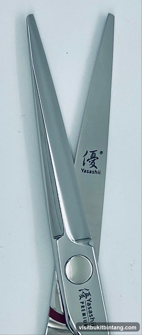 Premium Scissors