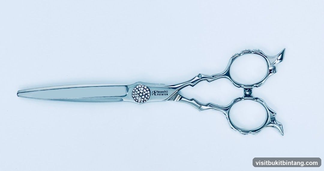 Premium Hair Scissors