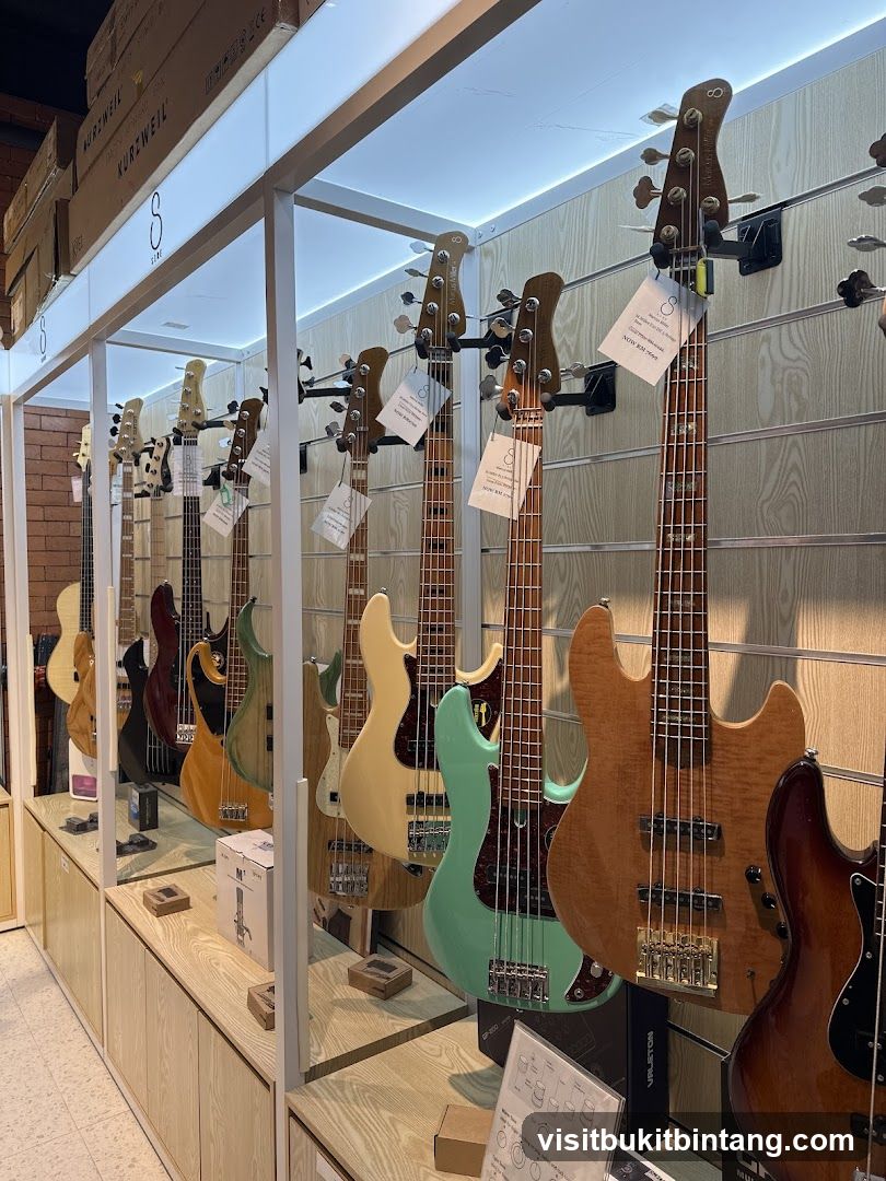 Guitars on Display