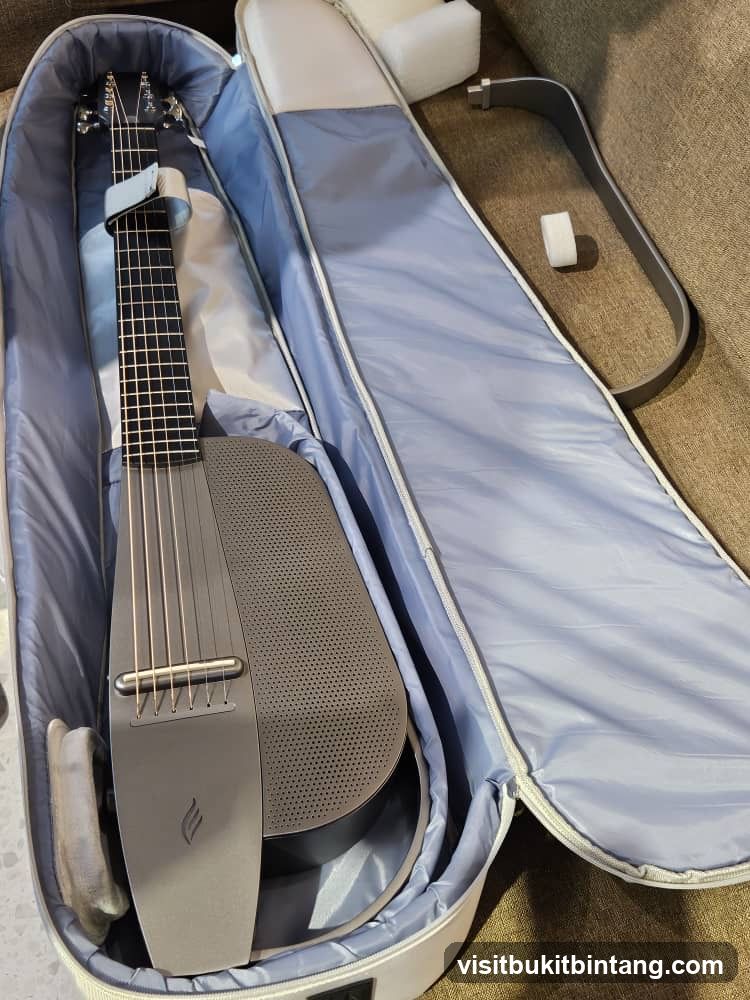 Guitar in Case