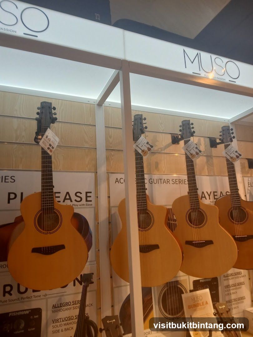 Guitars on Display