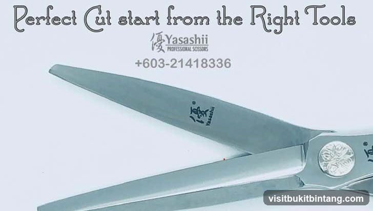 Professional Scissors Advertisement