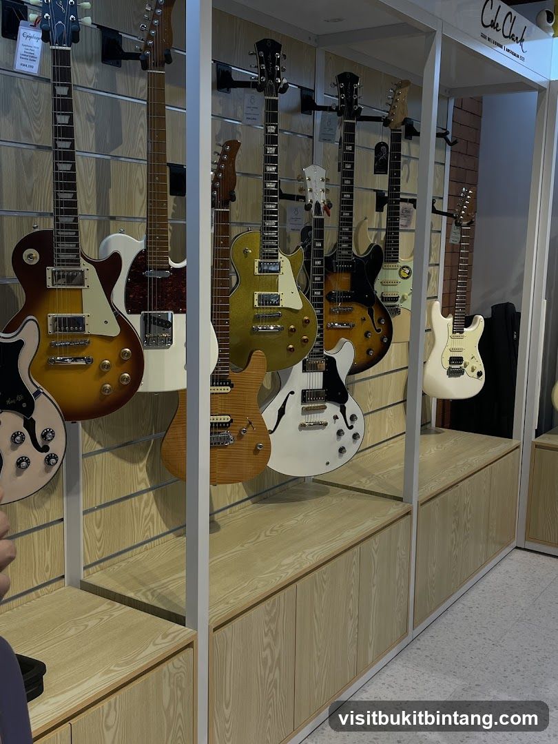 Guitars on Display