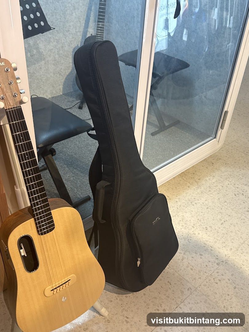Guitars and Gig Bag
