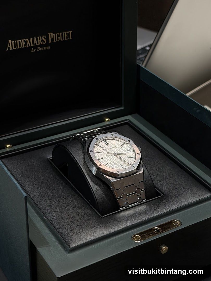 Audemars Piguet Watch in Box