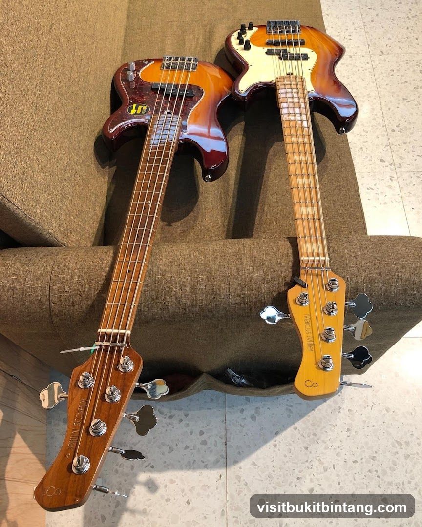 Two Bass Guitars