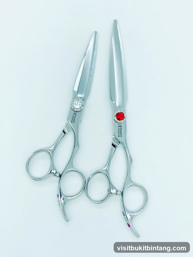 Two Pairs of Scissors