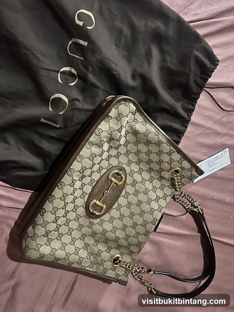Gucci Bag and Dust Bag