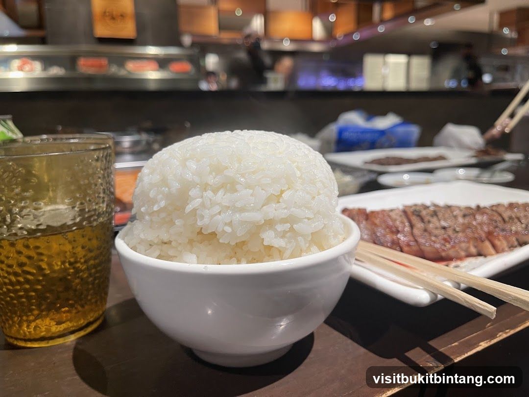 Steak and Rice