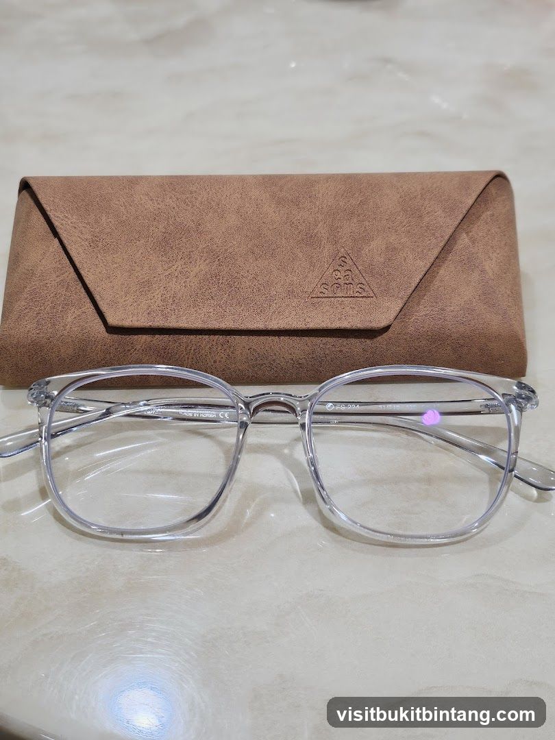 Eyeglasses and Case