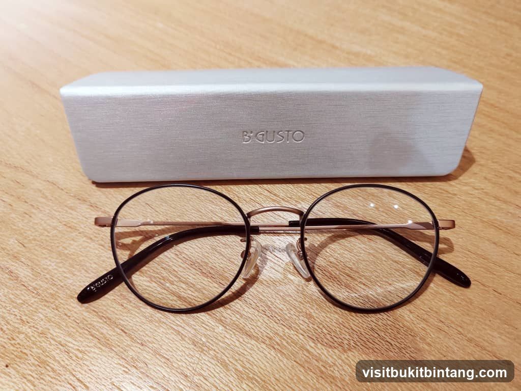 Eyeglasses and Case