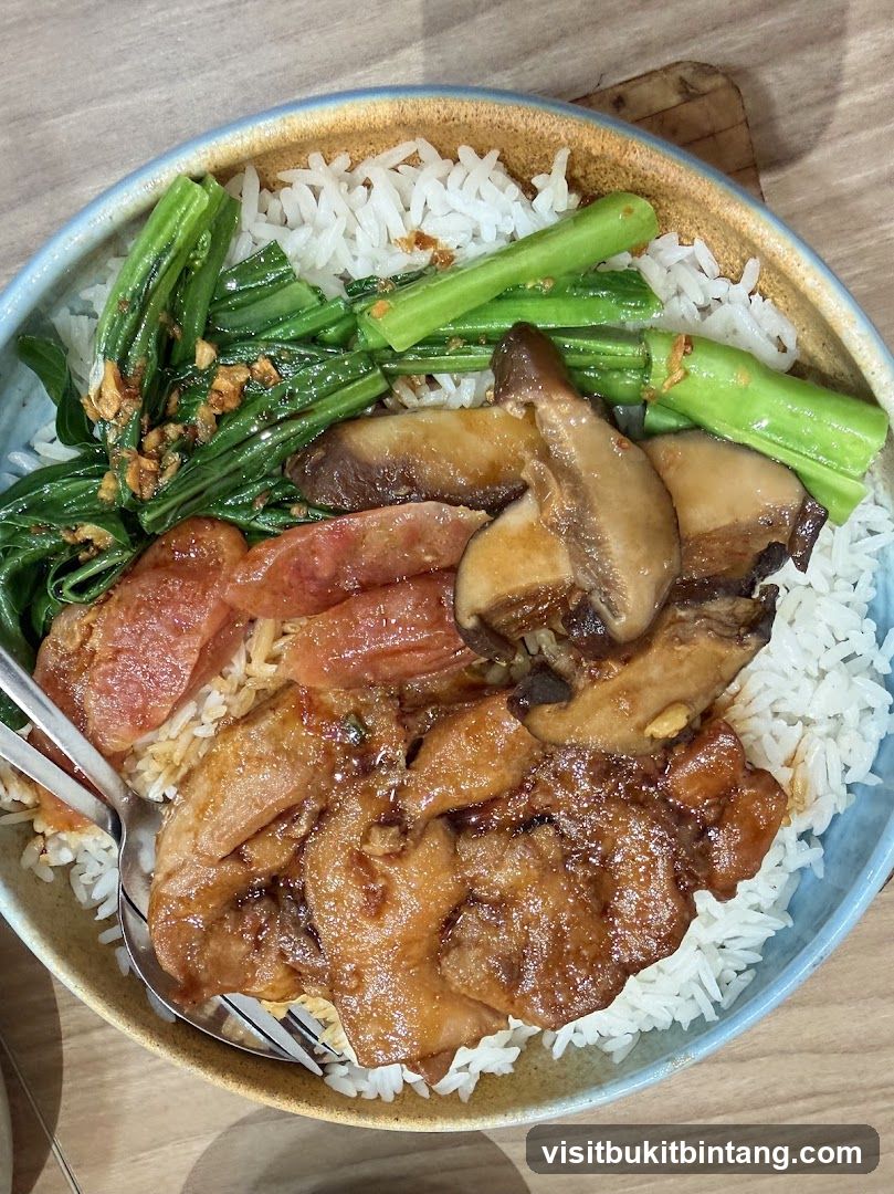 Braised Pork Rice Bowl