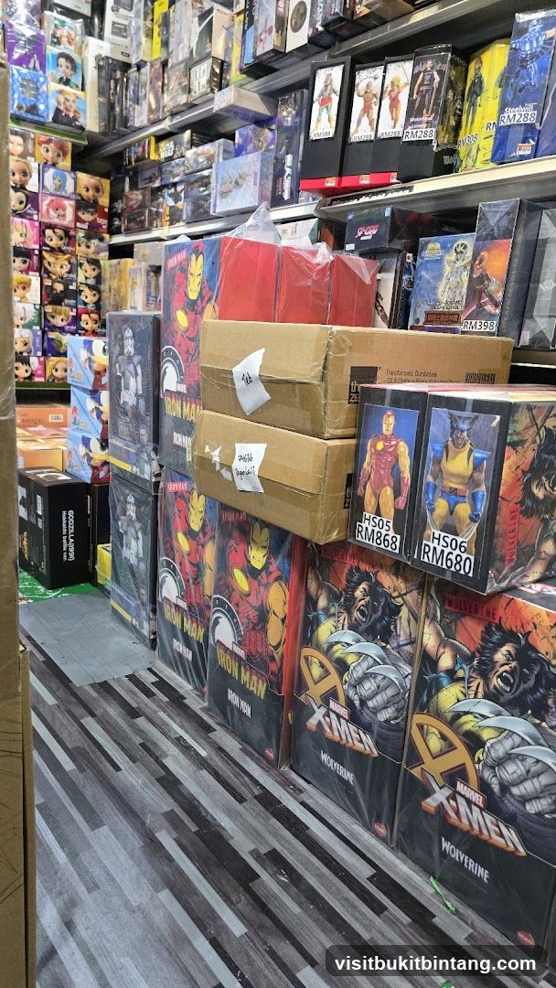 Action Figures Display