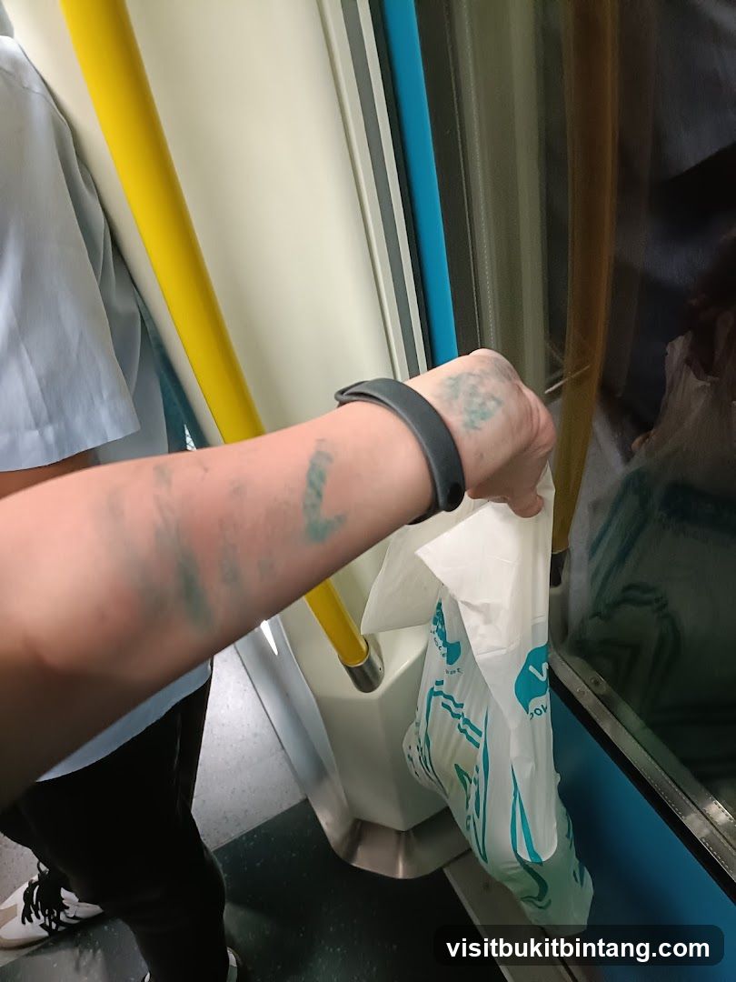 Person holding a shopping bag on public transport