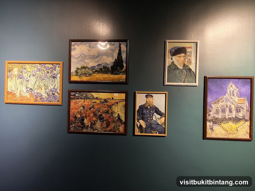 Van Gogh Paintings Display