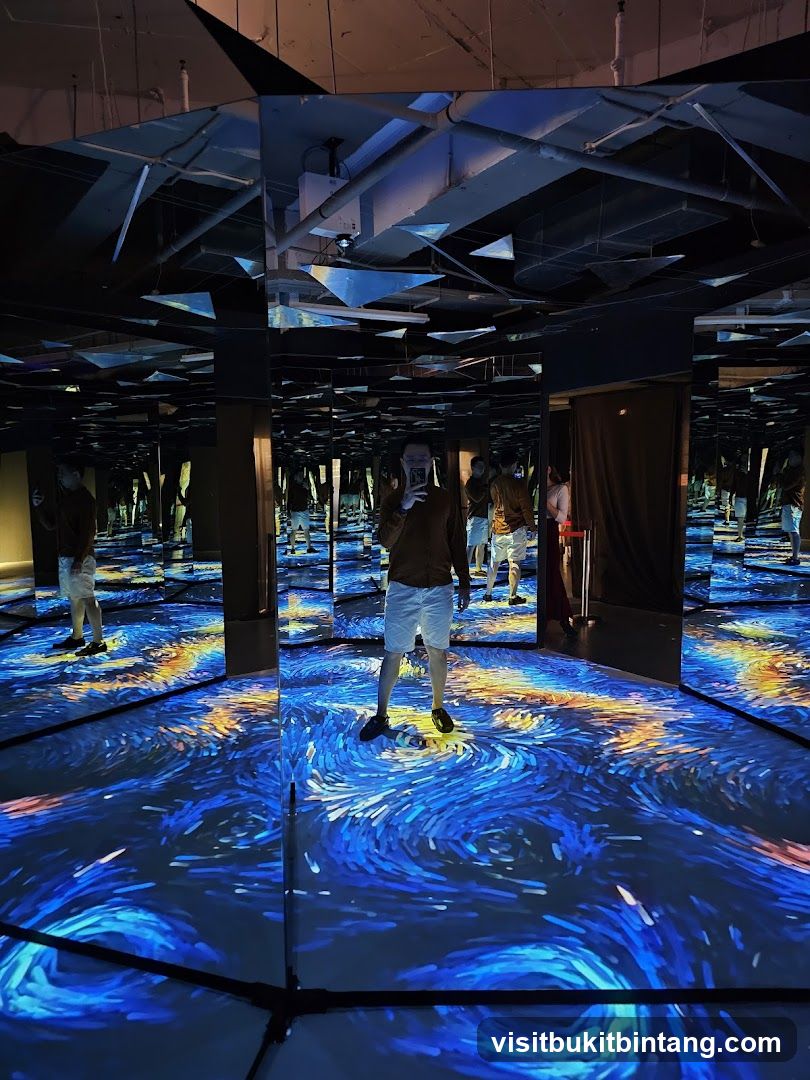 Interactive Art Installation