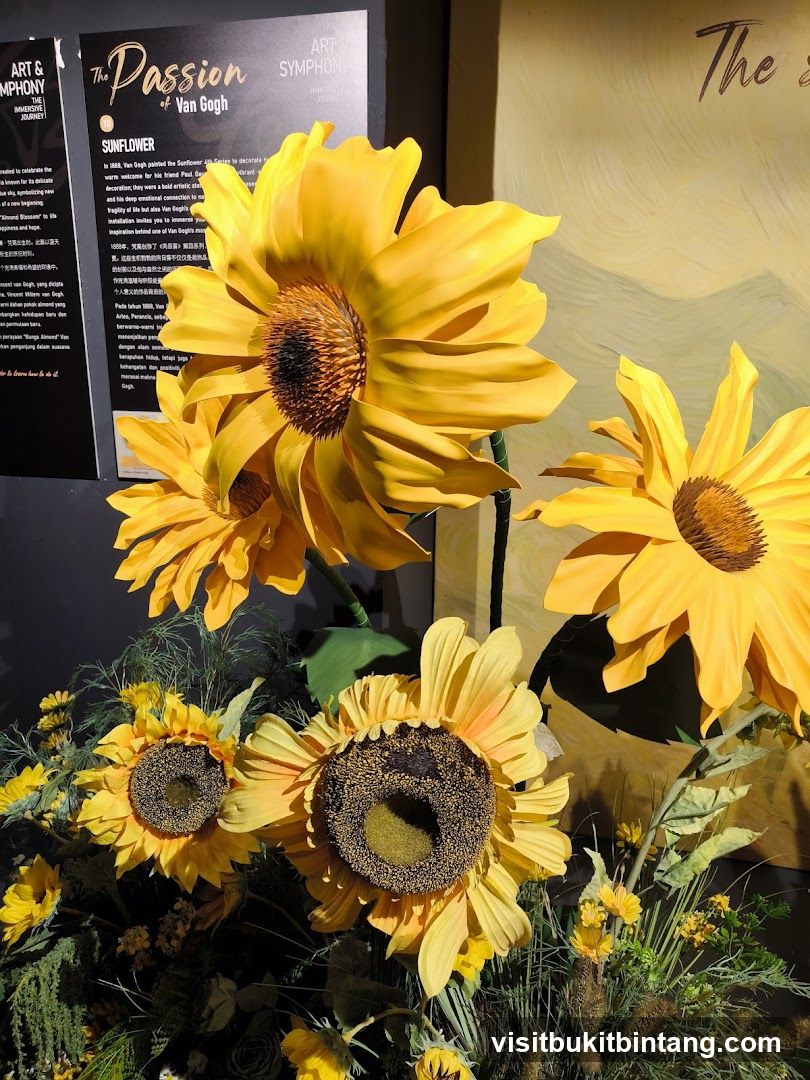 The Passion of Van Gogh - Sunflower