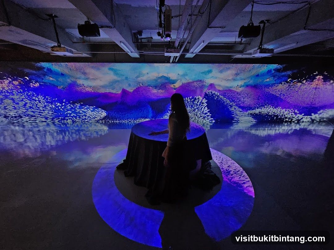 Interactive Digital Art Installation