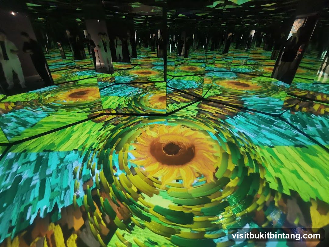 Immersive Art Installation