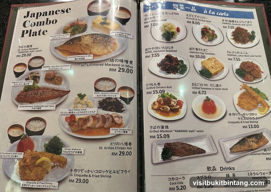 Japanese Combo Plate & A La Carte