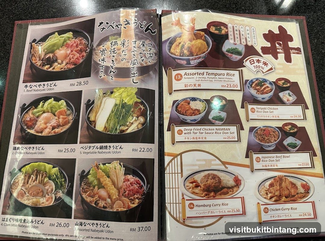 Japanese Udon and Rice Bowls