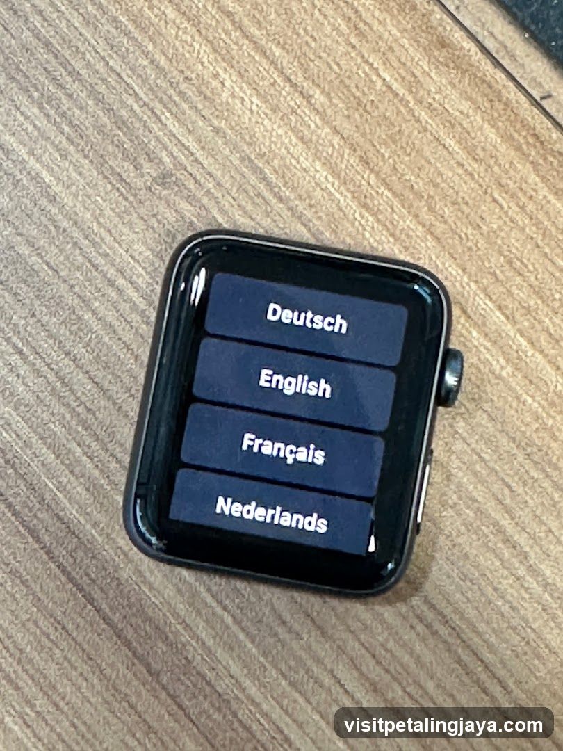 Smartwatch Language Selection Screen