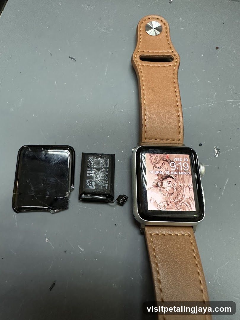 Apple Watch Repair Parts Display