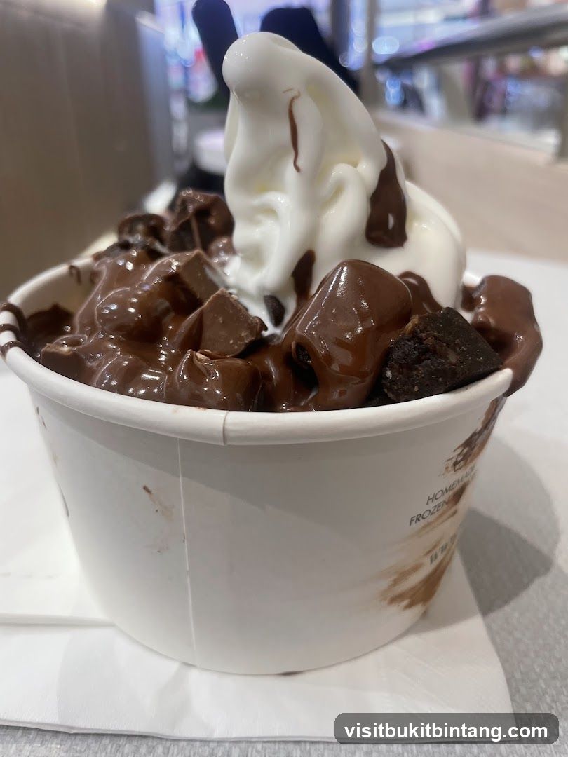Frozen Yogurt with Chocolate Toppings