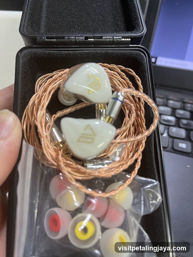 In-ear headphones in case