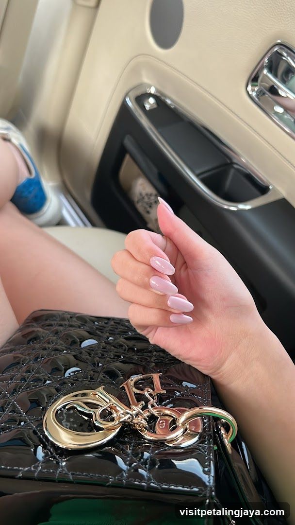 Interior Car Shot with Hand and Bag
