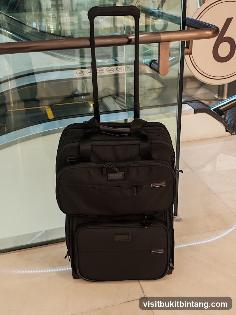 Two Black Rolling Suitcases