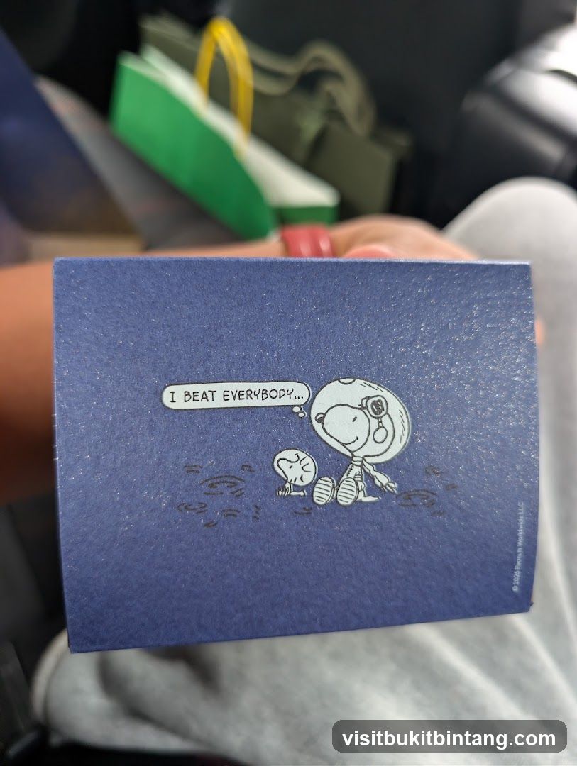 Peanuts Box