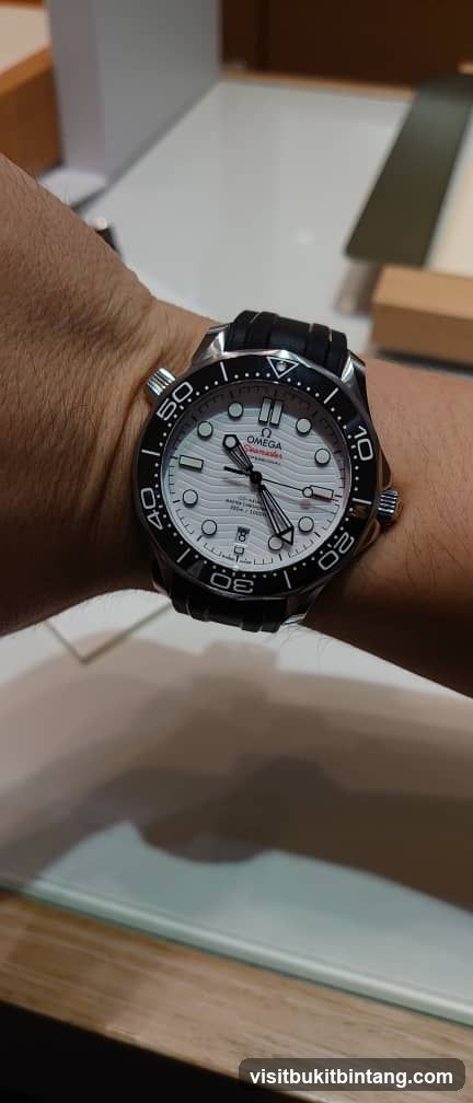 Omega Seamaster Watch