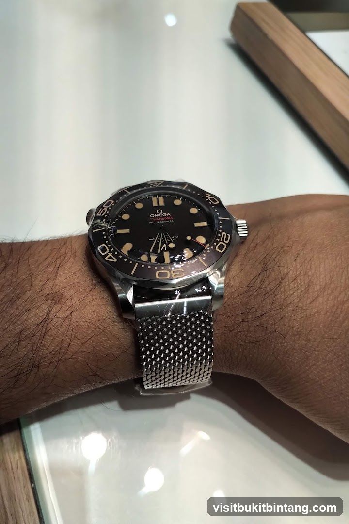 Omega Seamaster Watch