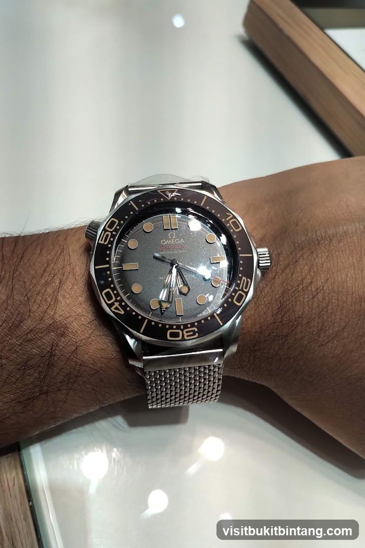 Omega Seamaster Watch