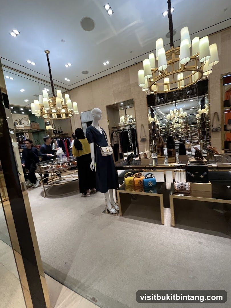 Luxury Handbag Display