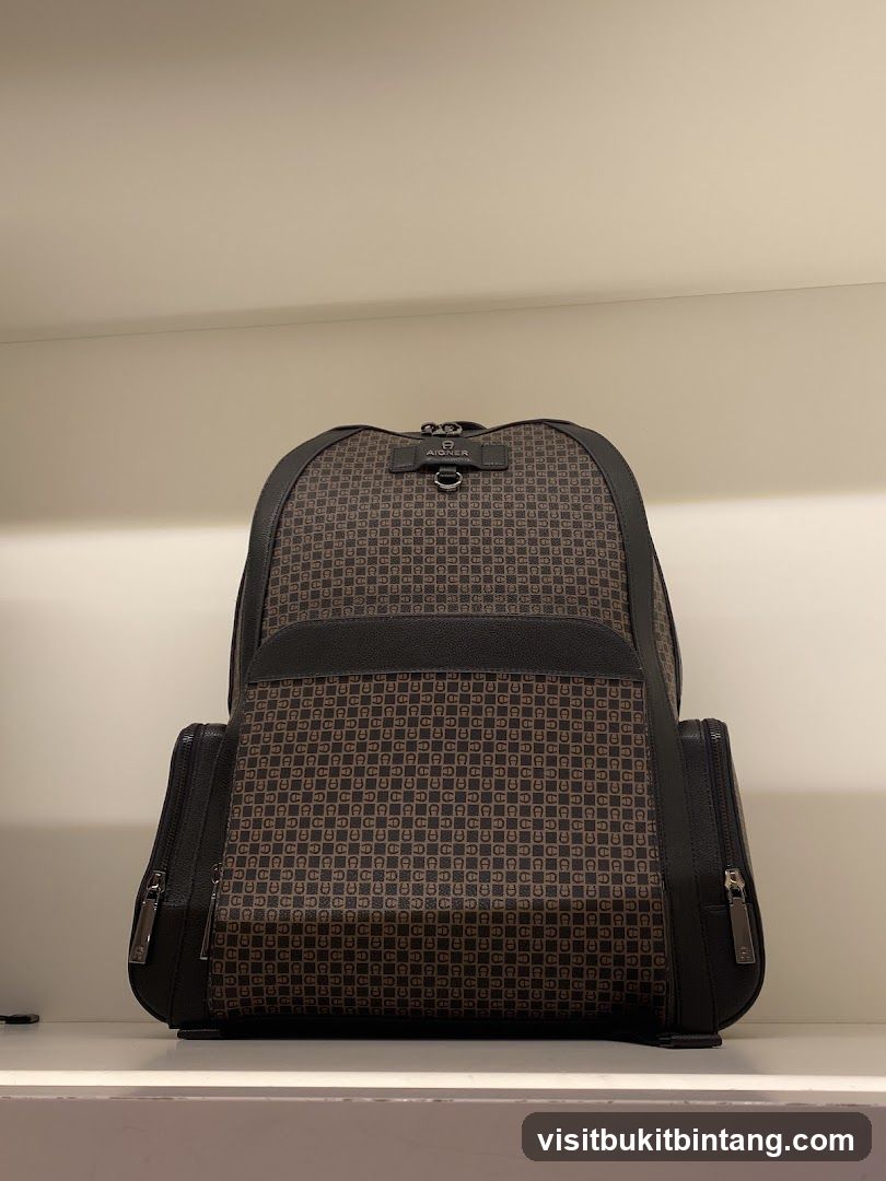 Aigner Backpack