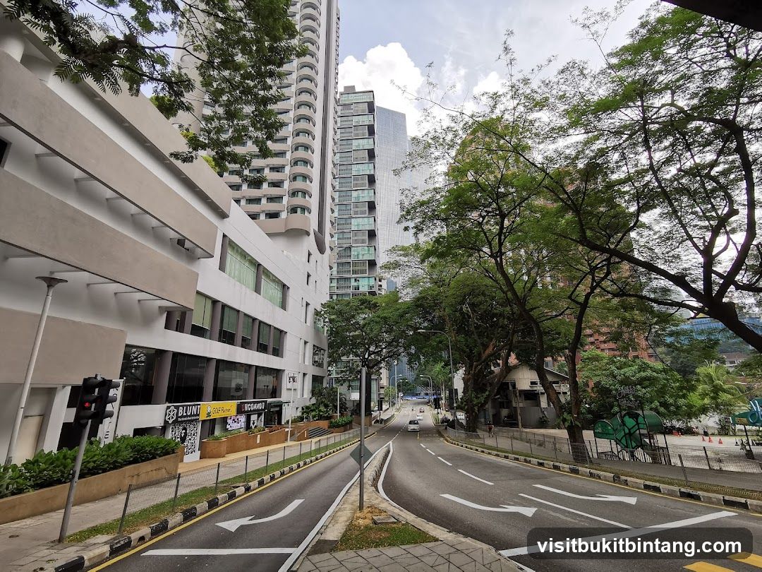 City street with modern buildings and trees
