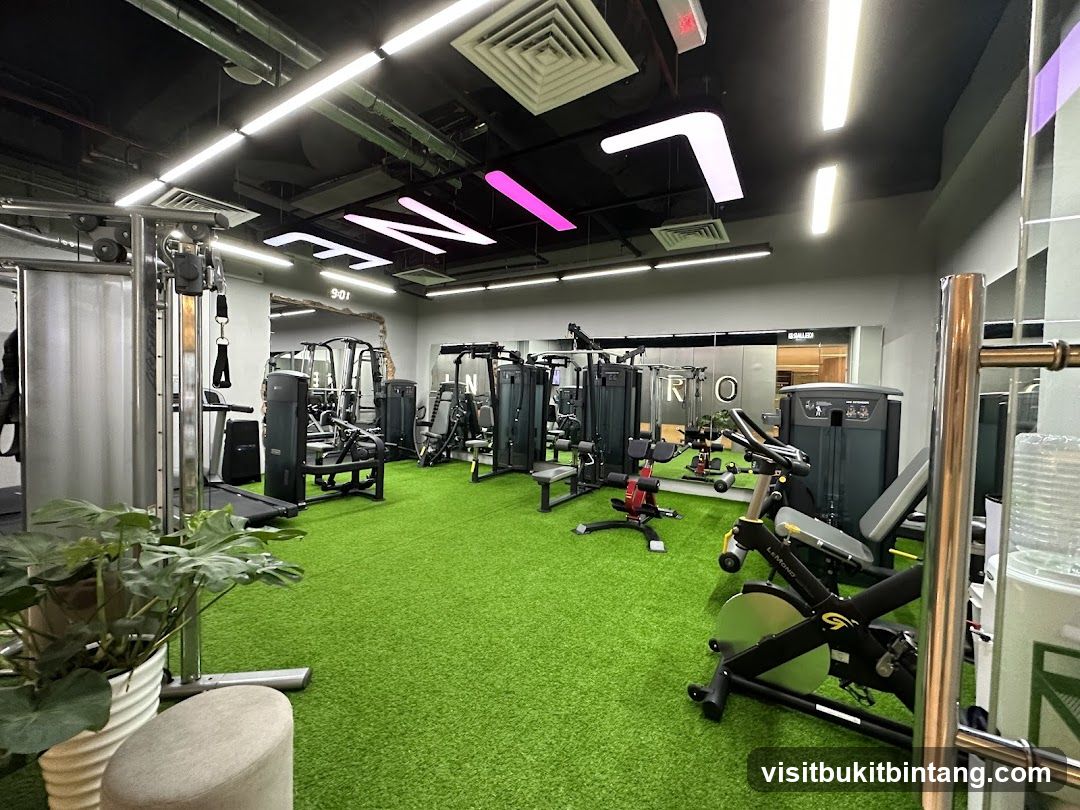 Gym Interior